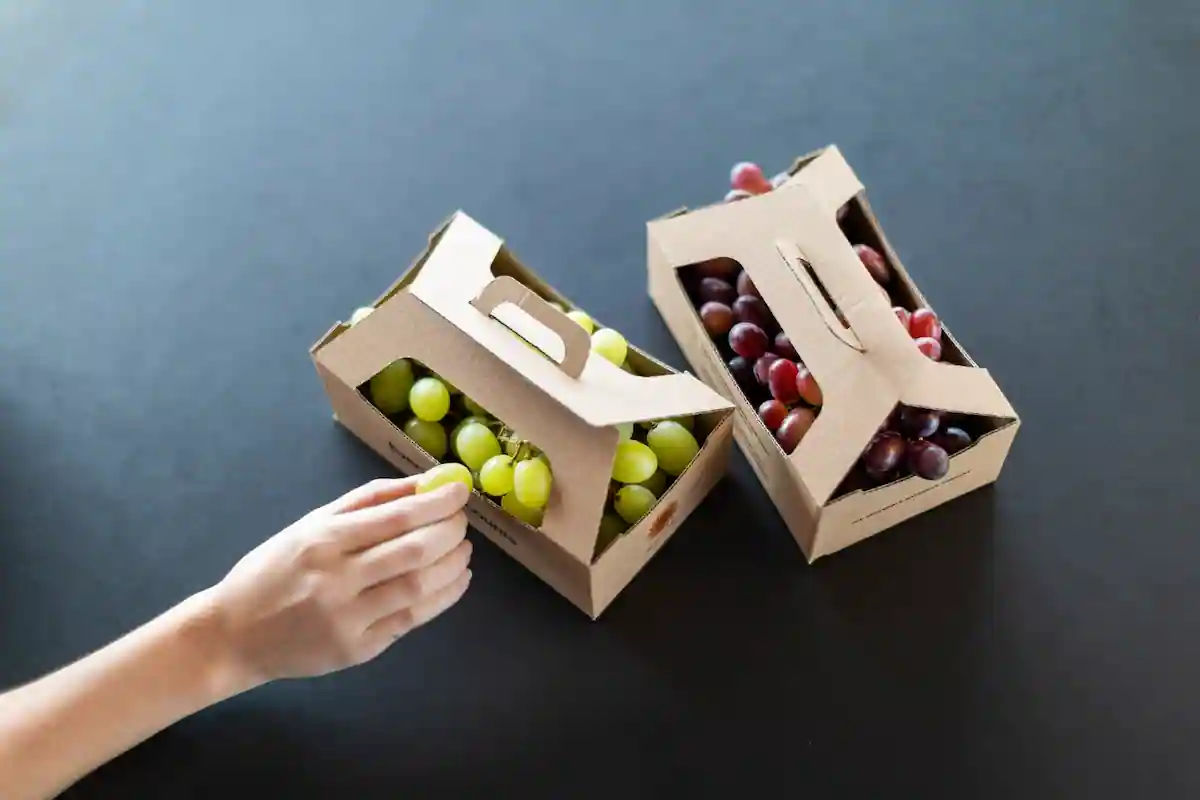 بخش های نمونه تکمیل شده طرح توجیهی بسته بندی میوه 
