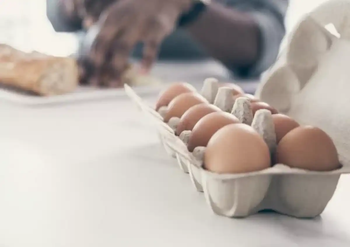 معرفی طرح توجیهی بسته بندی تخم مرغ