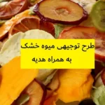 طرح توجیهی میوه خشک