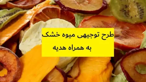 طرح توجیهی میوه خشک