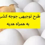 طرح توجیهی جوجه کشی