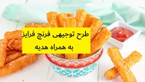 طرح توجیهی فرنچ فرایز