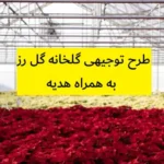 طرح توجیهی گلخانه گل رز