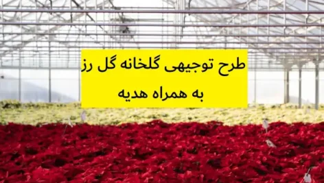 طرح توجیهی گلخانه گل رز