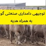 طرح توجیهی دامداری صنعتی گوسفندی