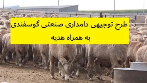 طرح توجیهی دامداری صنعتی گوسفندی