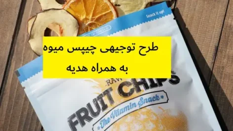 طرح توجیهی چیپس میوه
