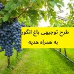 طرح توجیهی باغ انگور