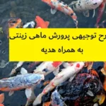 طرح توجیهی پرورش ماهی زینتی