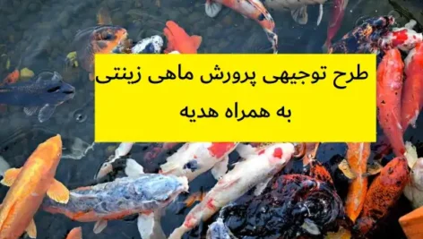 طرح توجیهی پرورش ماهی زینتی