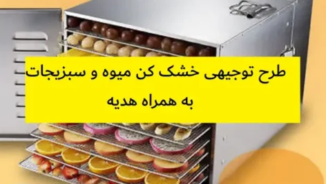 طرح توجیهی خشک کن میوه و سبزیجات