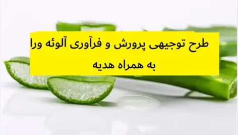 طرح توجیهی پرورش و فرآوری آلوئه ورا