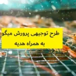 طرح توجیهی پرورش میگو