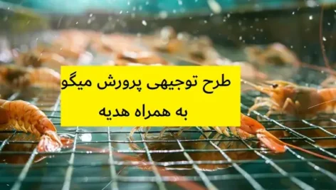 طرح توجیهی پرورش میگو
