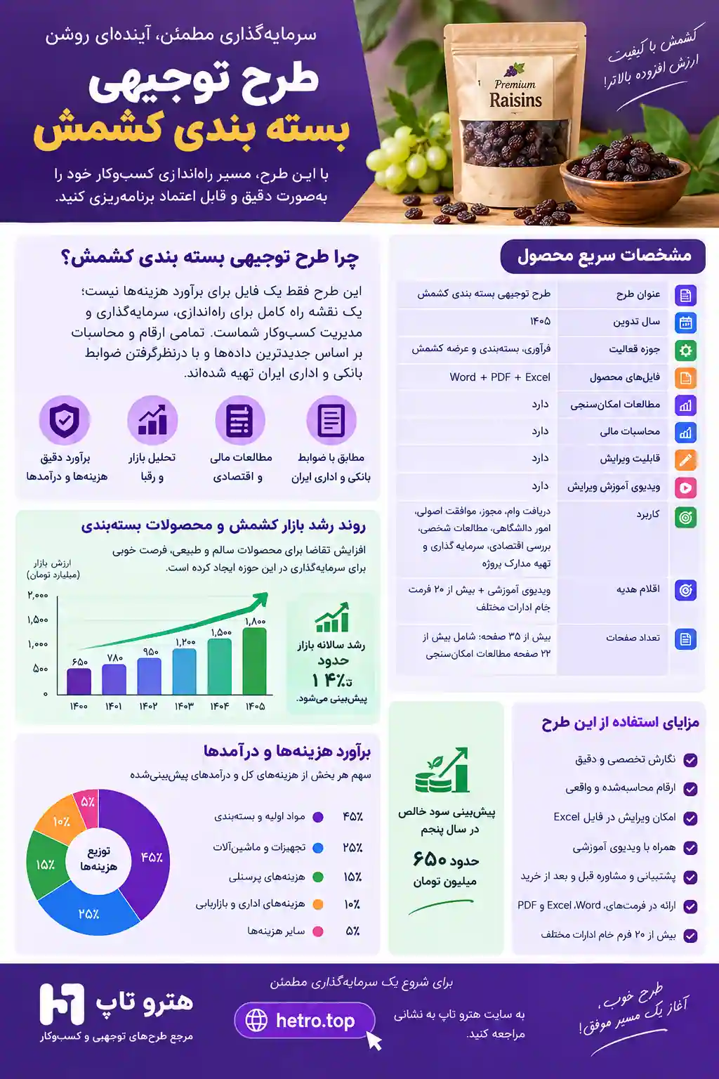 اینفوگرافیک طرح توجیهی بسته بندی کشمش