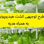 طرح توجیهی کشت هیدروپونیک