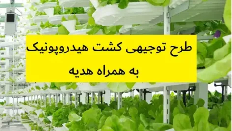 طرح توجیهی کشت هیدروپونیک