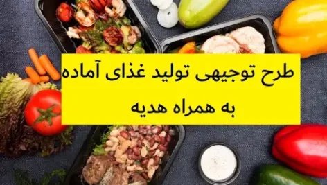 طرح توجیهی تولید غذای آماده