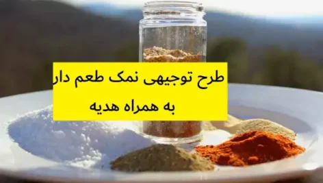 طرح توجیهی نمک طعم دار