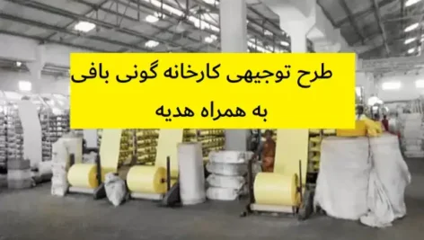 طرح توجیهی کارخانه گونی بافی (پلی پروپین)