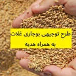 طرح توجیهی بوجاری غلات