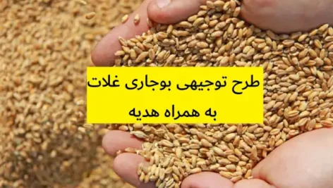 طرح توجیهی بوجاری غلات