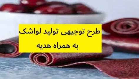 طرح توجیهی تولید لواشک