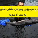 طرح توجیهی پرورش ماهی خاویاری