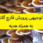 طرح توجیهی پرورش قارچ گانودرما