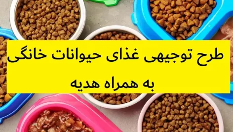طرح توجیهی غذای حیوانات خانگی