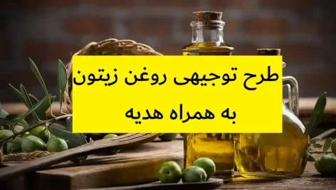 طرح توجیهی روغن زیتون