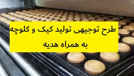 طرح توجیهی تولید کیک و کلوچه