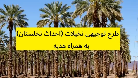 طرح توجیهی نخیلات (احداث نخلستان)