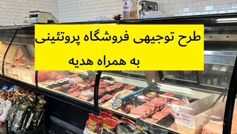 طرح توجیهی فروشگاه پروتئینی