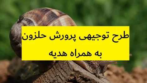 طرح توجیهی پرورش حلزون