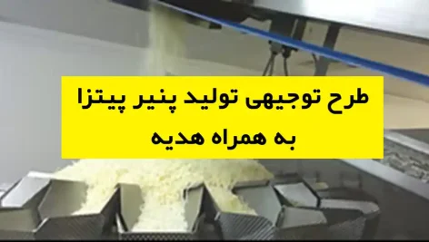 طرح توجیهی تولید پنیر پیتزا