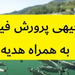 طرح توجیهی پرورش فیل ماهی