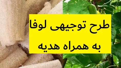 طرح توجیهی لوفا