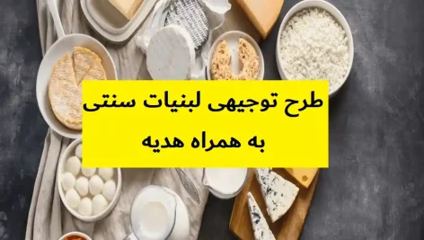 طرح توجیهی لبنیات سنتی