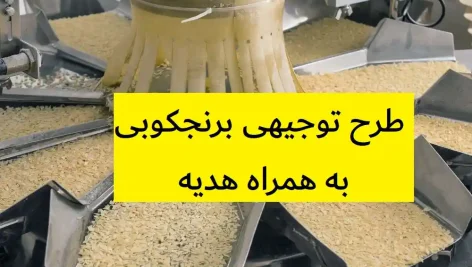 طرح توجیهی برنجکوبی