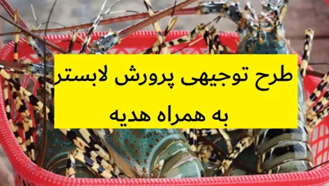 طرح توجیهی پرورش لابستر
