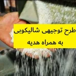 طرح توجیهی شالیکوبی