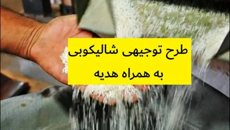 طرح توجیهی شالیکوبی