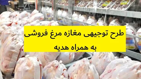 طرح توجیهی مغازه مرغ فروشی