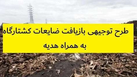 طرح توجیهی بازیافت ضایعات کشتارگاه