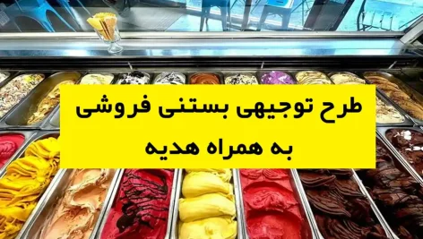 طرح توجیهی بستنی فروشی