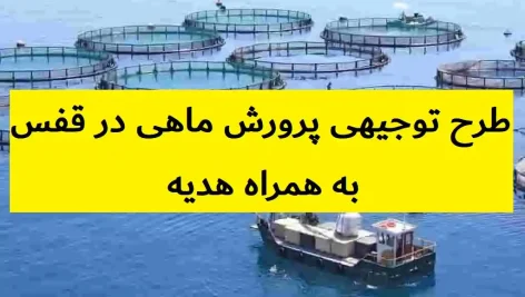 طرح توجیهی پرورش ماهی در قفس