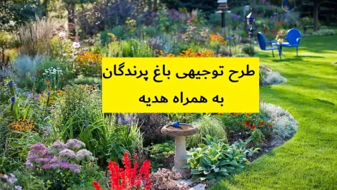 طرح توجیهی باغ پرندگان