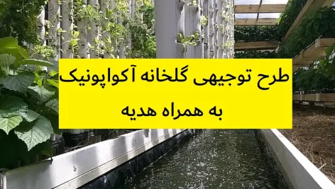طرح توجیهی گلخانه آکواپونیک