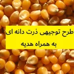 طرح توجیهی ذرت دانه ای